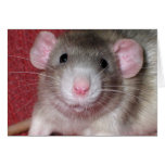 Cute Dumbo Rat Greeting Cards