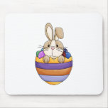 cute easter bunny in rainbow egg mousepads
