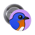 Cute Eastern Bluebird Buttons