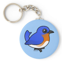 Cute Eastern Bluebird