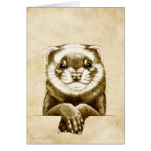 Cute Ferret Greeting Cards