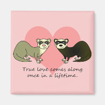 Cute Ferrets True Love Magnet