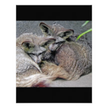 Cute Fox Couple Sleeping Photo Custom Announcement
