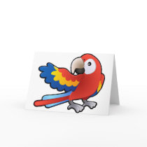 cute friendly Macaw Parrot