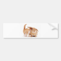 cute_funny_animals_8  kitten bunny rabbit friends bumper sticker