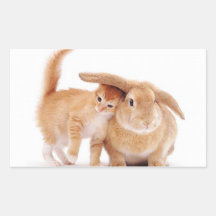 cute_funny_animals_8  kitten bunny rabbit friends sticker
