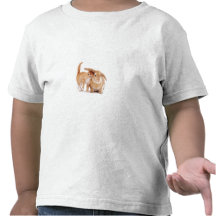 cute_funny_animals_8  kitten bunny rabbit friends t-shirts