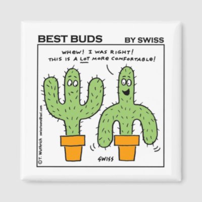 Funny Cute Cartoon on Cute Funny Cactus Cartoon Fridge Magnet By Swisstoons