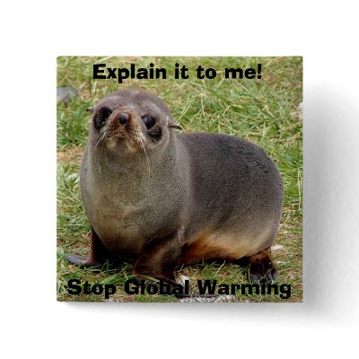 Cute Fur Seal Stop Global Warming Button by epclarke
