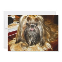 Cute Furry Dog Personalized Announcement
