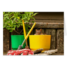 Cute Gardening Chipmunk Greeting Cards