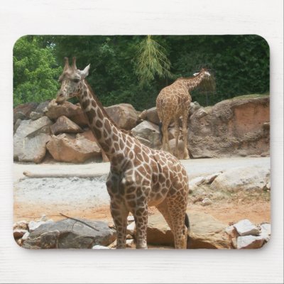 Cute Giraffe Mousepad by KELLBELL535