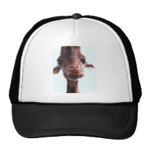 Cute Giraffe Picture on Shirt Hat