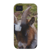 Cute Goat. iPhone 4/4S Cases