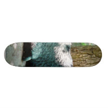 Cute Goat Kid Skate Boards