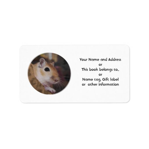 Cute Golden Pet Gerbil Custom Address Labels