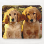 Cute Golden Retriever Puppy Dog Mousepad
