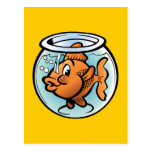 Cute Goldfish Postcard