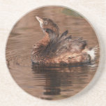 Cute Grebe Drink Coaster