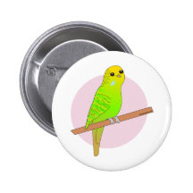 Cute Green Budgie Buttons