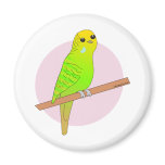 Cute Green Budgie Refrigerator Magnets