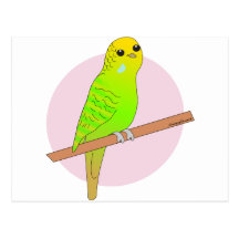 Cute Green Budgie Post Card