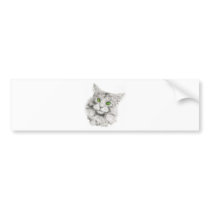 Cute Green Eyed Cat Bumper Stickers
