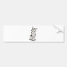 Cute Green Eyed Cat Bumper Stickers