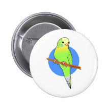 Cute Green Parakeet Pinback Button