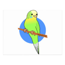 Cute Green Parakeet Post Card
