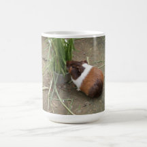 Cute Guinea Pig Coffee Mugs