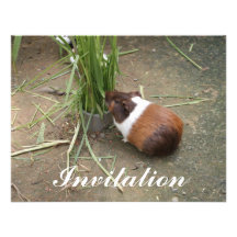 Cute Guinea Pig Personalized Invitation