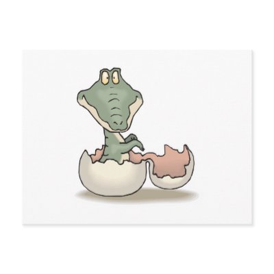 cute hatching baby alligator post card by doonidesignsanimals