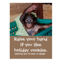 Cute  Holiday Cookie Exchange Postcard