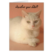 Cute, Humourous Female Birthday Card