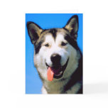 Cute husky dog photo customizable greeting card