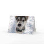Cute husky puppy photo customizable greeting card