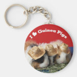 Cute I Love Guinea Pigs Keychain