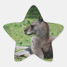 Cute Kangaroo Stickers