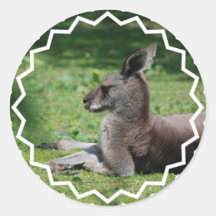 Cute Kangaroo Stickers
