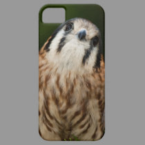 Cute Kestrel iPhone 5 case casemate cases