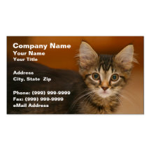Cute Kitten Against a Brown Background Business Card Templates
