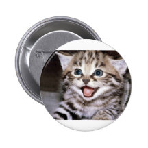 Cute Kitten Button