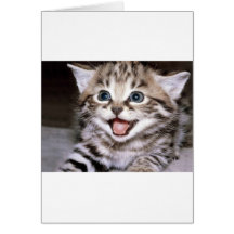 Cute Kitten Card