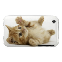 Cute Kitten Case-Mate iPhone 3 Case