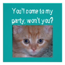 Cute Kitten - Child's Birthday Party invitations