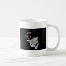 Cute Kitten Duo Mug