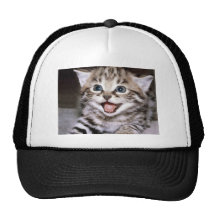 Cute Kitten Hats