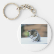 Cute Kitten Key Chains
