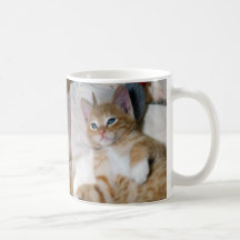 Cute Kitten Mug: Tabby Mug